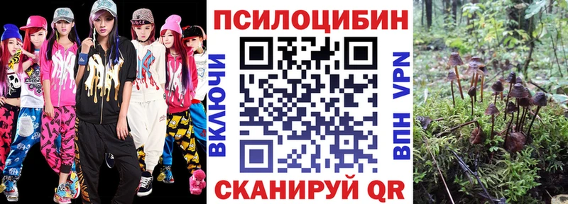 Галлюциногенные грибы MAGIC MUSHROOMS  Купить где  Старица 